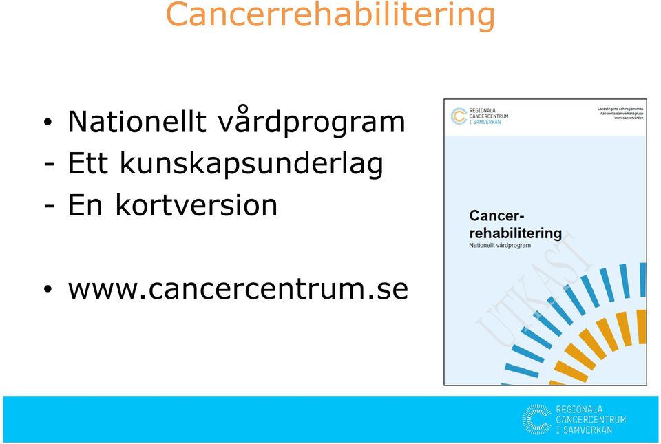 Ett kunskapsunderlag - En