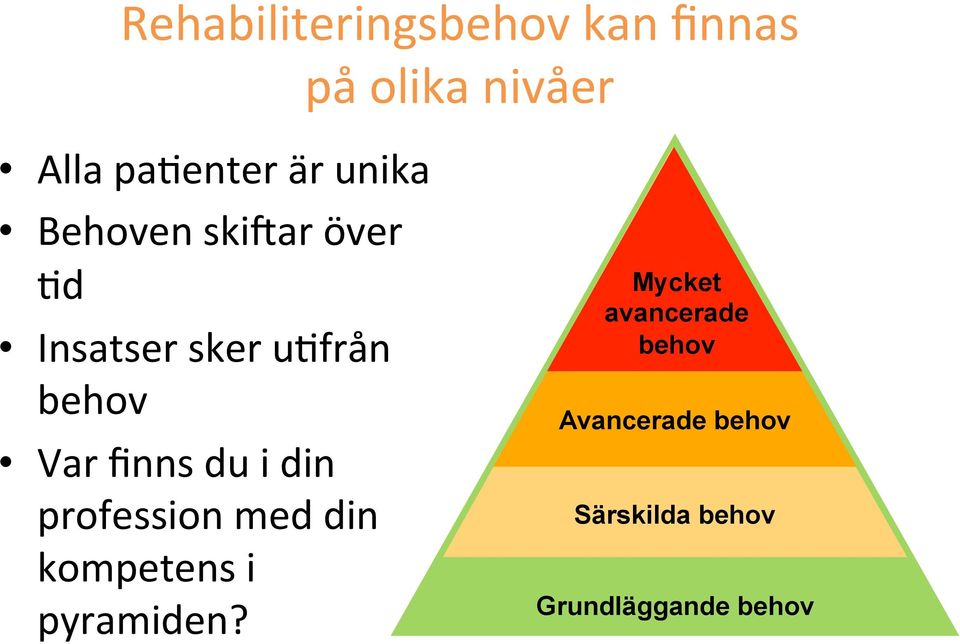 du i din profession med din kompetens i pyramiden?