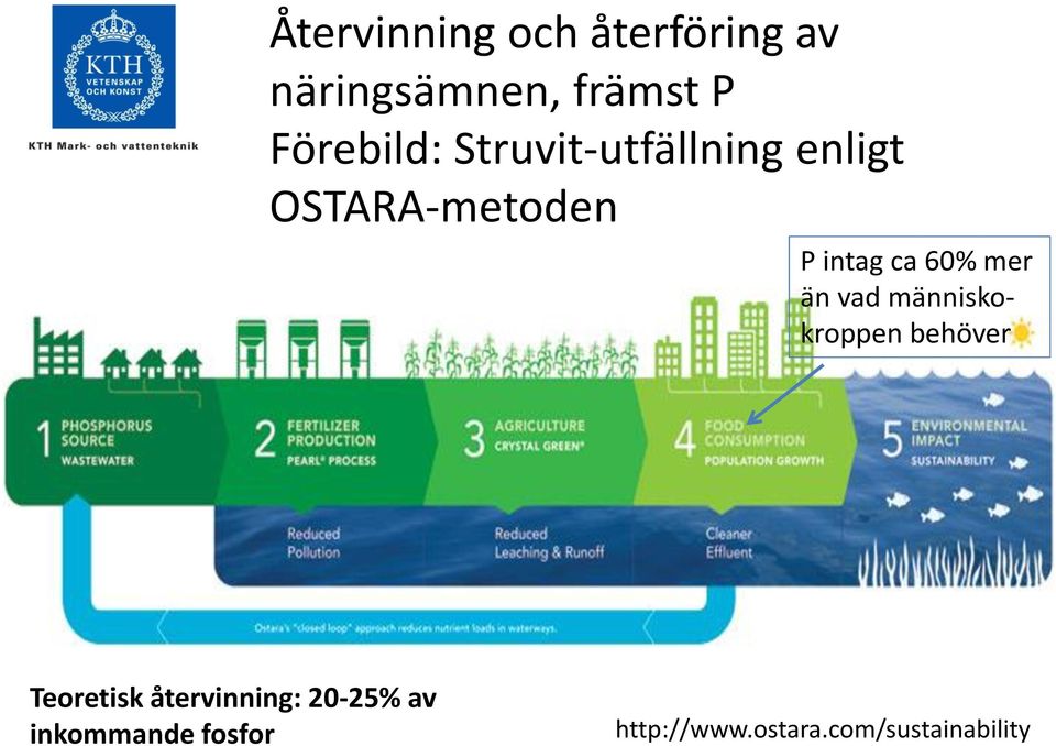 ca 60% mer än vad människokroppen behöver Teoretisk