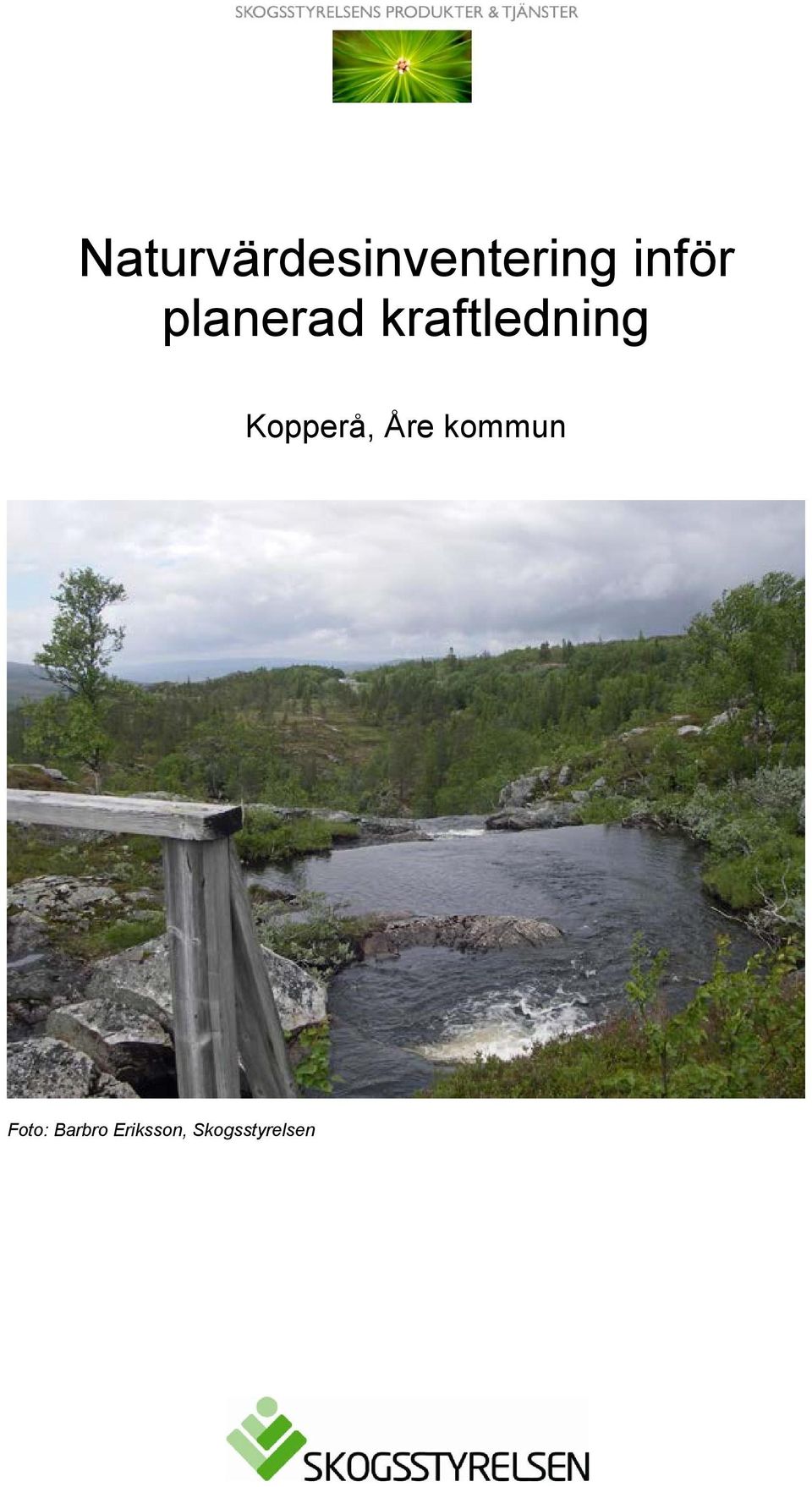 kraftledning Kopperå, Åre