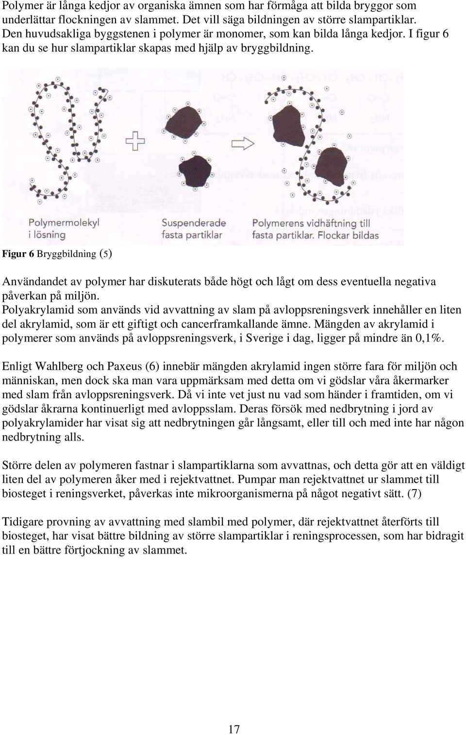 Figur 6 Bryggbildning (5) Användandet av polymer har diskuterats både högt och lågt om dess eventuella negativa påverkan på miljön.