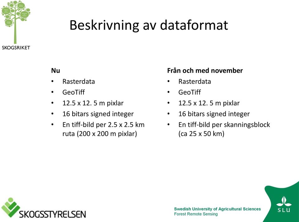 5 km ruta (200 x 200 m pixlar) Från och med november Rasterdata GeoTiff