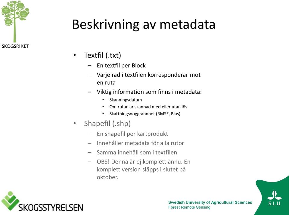 metadata: Skanningsdatum Om rutan är skannad med eller utan löv Skattningsnoggrannhet (RMSE, Bias)