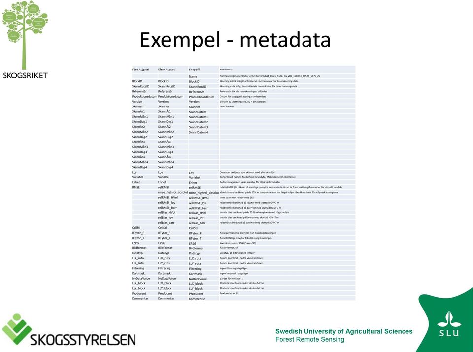 för när laserskanningen utfördes Produktionsdatum Produktionsdatum Produktionsdatum Datum för skogliga skattningar av laserdata Version Version Version Version av skattningarna, nu = Betaversion