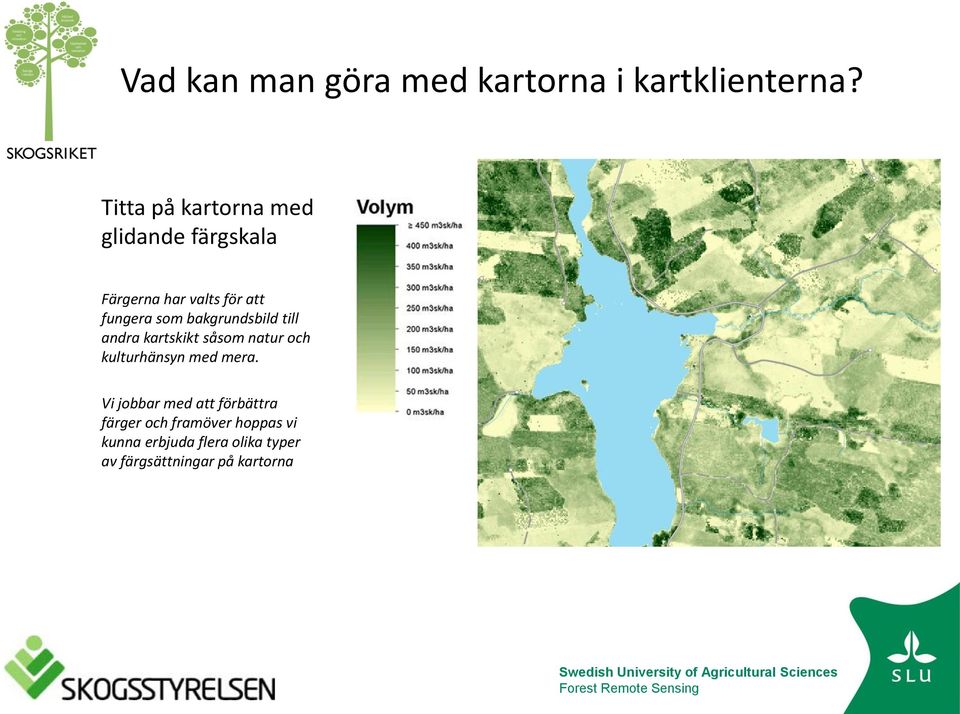 bakgrundsbild till andra kartskikt såsom natur och kulturhänsyn med mera.