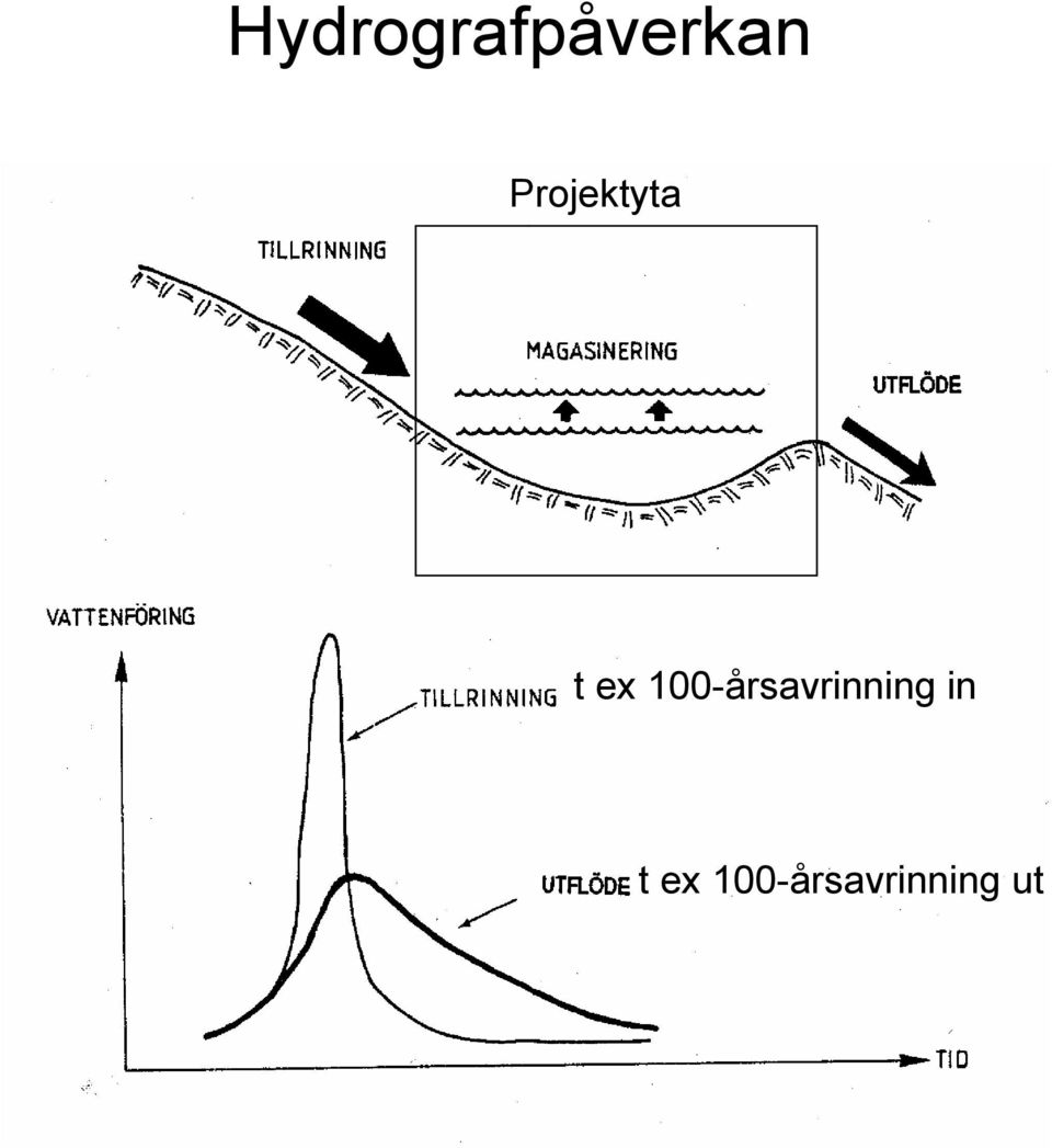 100-årsavrinning in