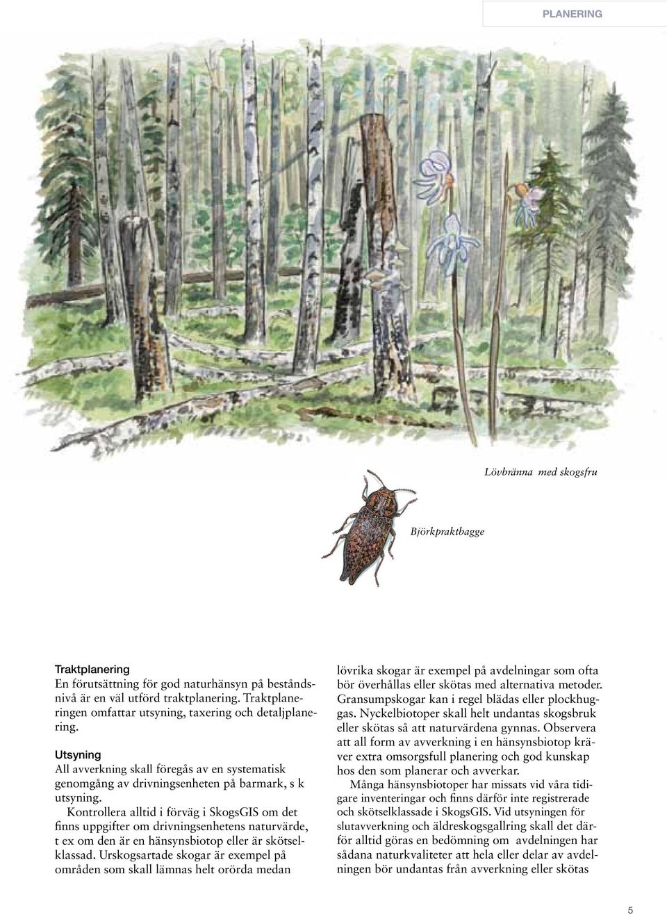 Kontrollera alltid i förväg i SkogsGIS om det finns uppgifter om drivningsenhetens naturvärde, t ex om den är en hänsynsbiotop eller är skötselklassad.