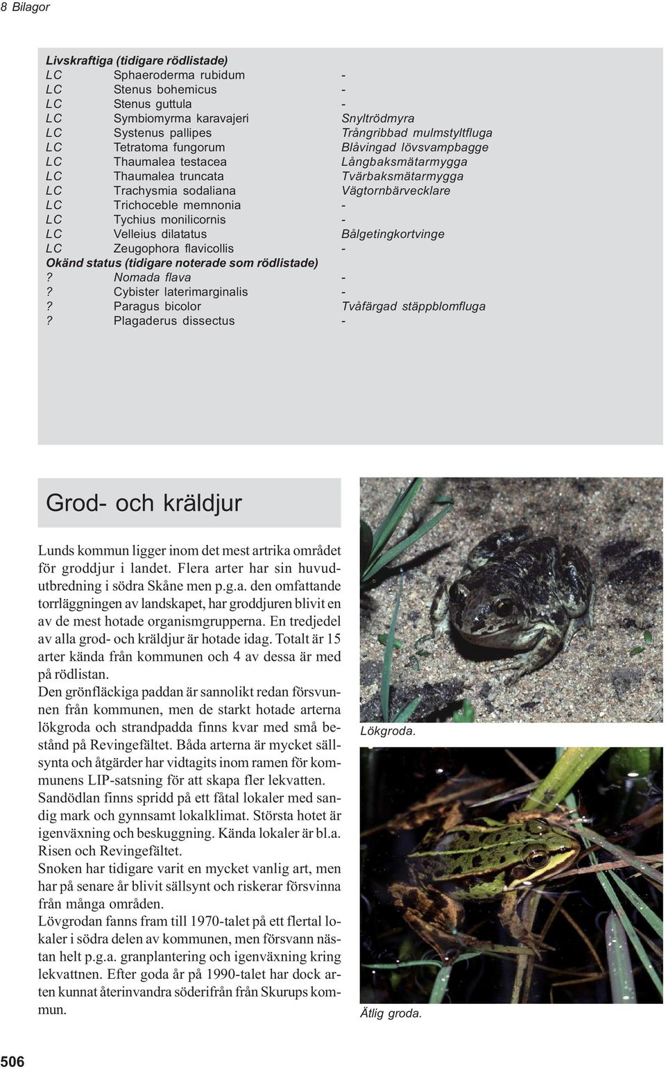 Tychius monilicornis - LC Velleius dilatatus Bålgetingkortvinge LC Zeugophora flavicollis - Okänd status (tidigare noterade som rödlistade)? Nomada flava -? Cybister laterimarginalis -?