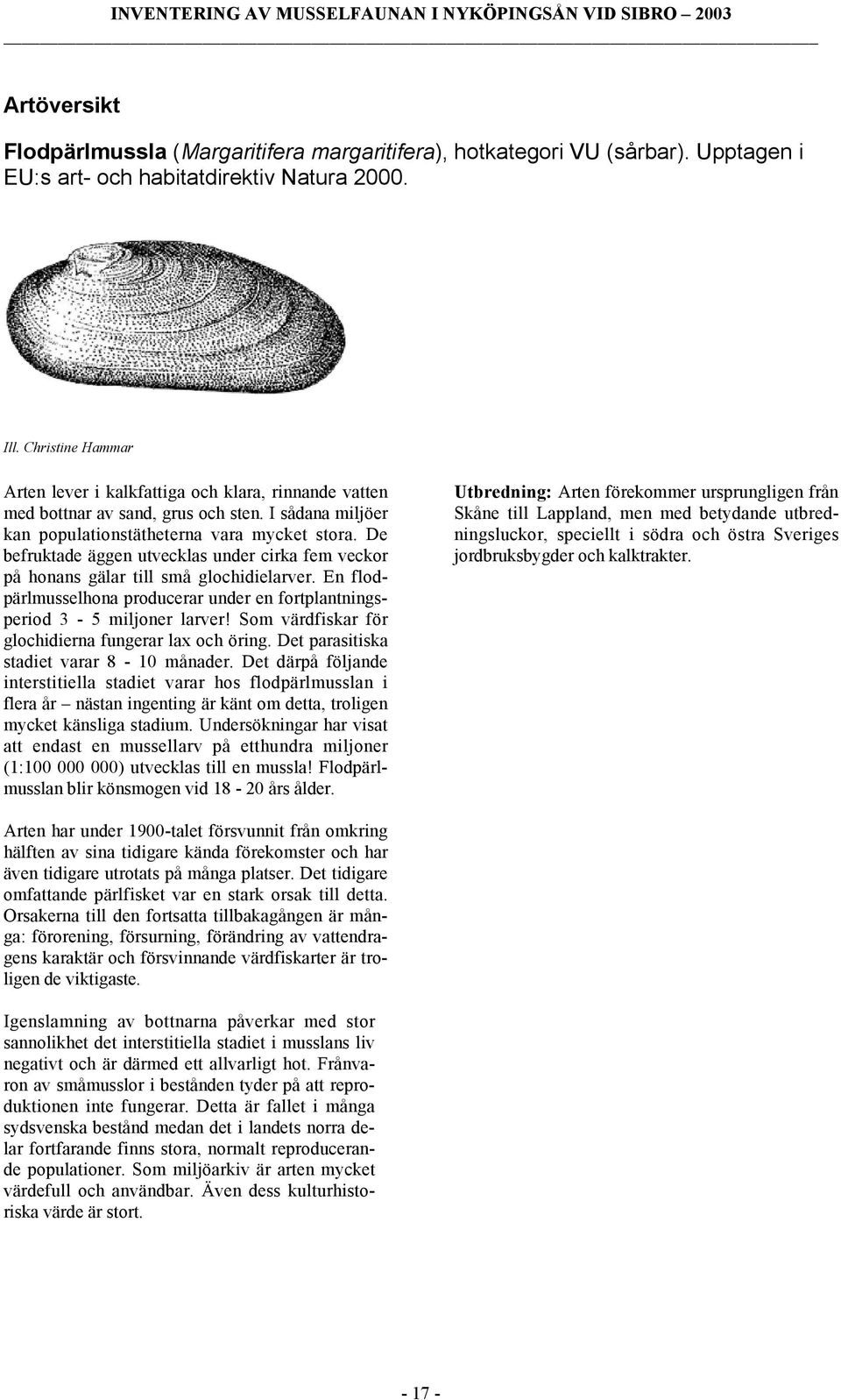 De befruktade äggen utvecklas under cirka fem veckor på honans gälar till små glochidielarver. En flodpärlmusselhona producerar under en fortplantningsperiod 3-5 miljoner larver!