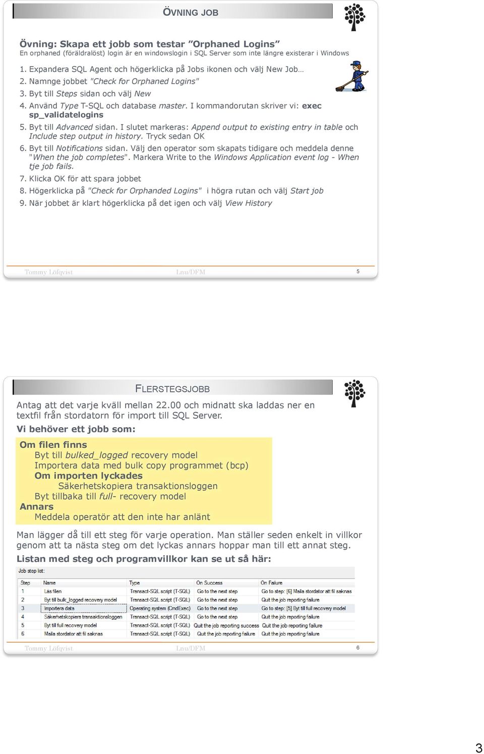 I kommandorutan skriver vi: exec sp_validatelogins 5. Byt till Advanced sidan. I slutet markeras: Append output to existing entry in table och Include step output in history. Tryck sedan OK 6.