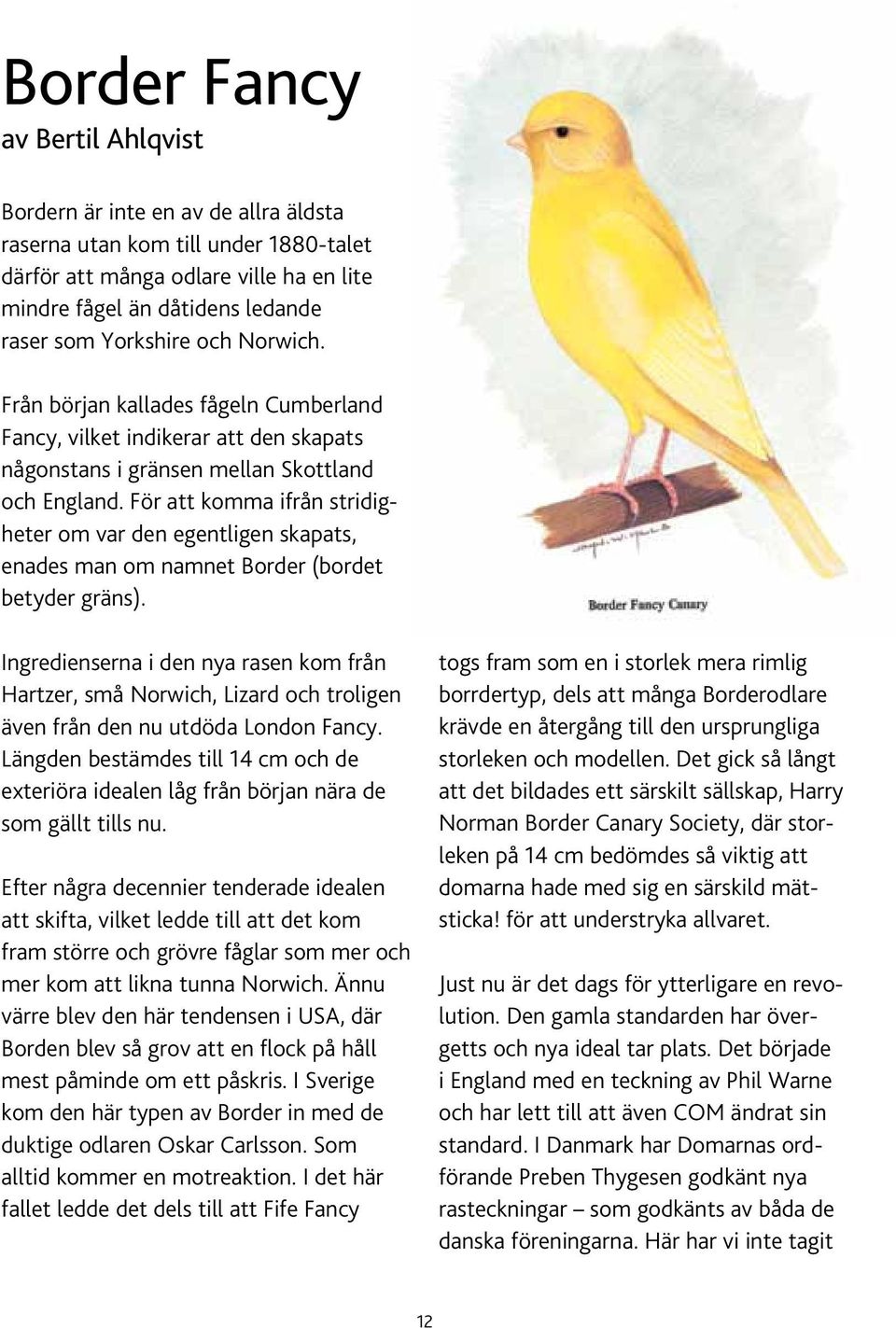 För att komma ifrån stridigheter om var den egentligen skapats, enades man om namnet Border (bordet betyder gräns).