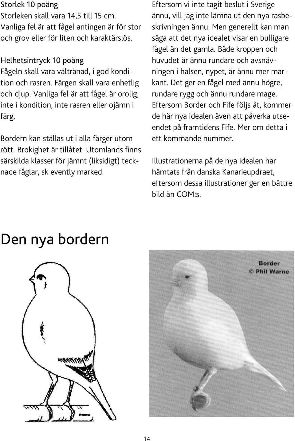 Vanliga fel är att fågel är orolig, inte i kondition, inte rasren eller ojämn i färg. Bordern kan ställas ut i alla färger utom rött. Brokighet är tillåtet.