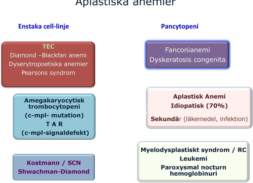 mutation) T A R (c-mpl-signaldefekt) Aplastisk Anemi Idiopatisk (70%) Sekundär (läkemedel,