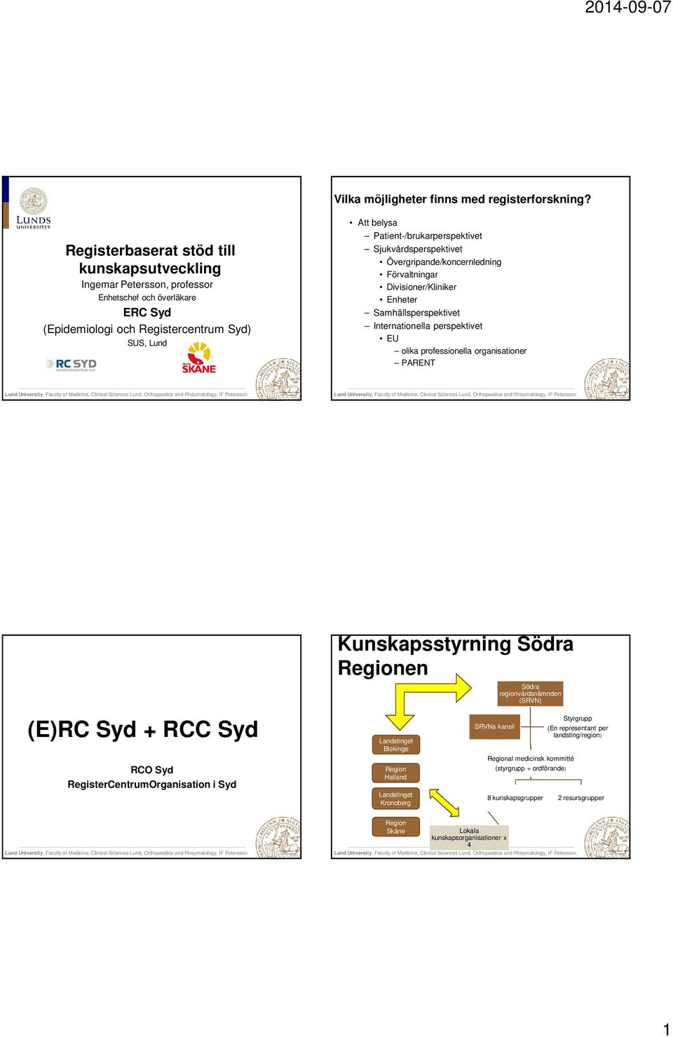 Sjukvårdsperspektivet Övergripande/koncernledning Förvaltningar Divisioner/Kliniker Enheter Samhällsperspektivet Internationella perspektivet EU olika professionella organisationer PARENT