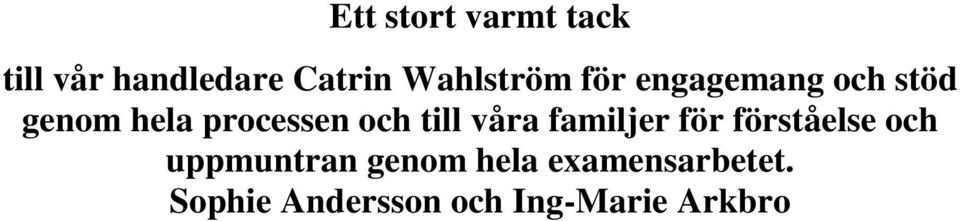 och till våra familjer för förståelse och uppmuntran