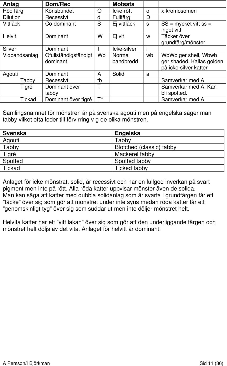 Kallas golden på icke-silver katter Agouti Dominant A Solid a Tabby Recessivt tb Samverkar med A Tigré Dominant över tabby T Samverkar med A. Kan bli spotted.