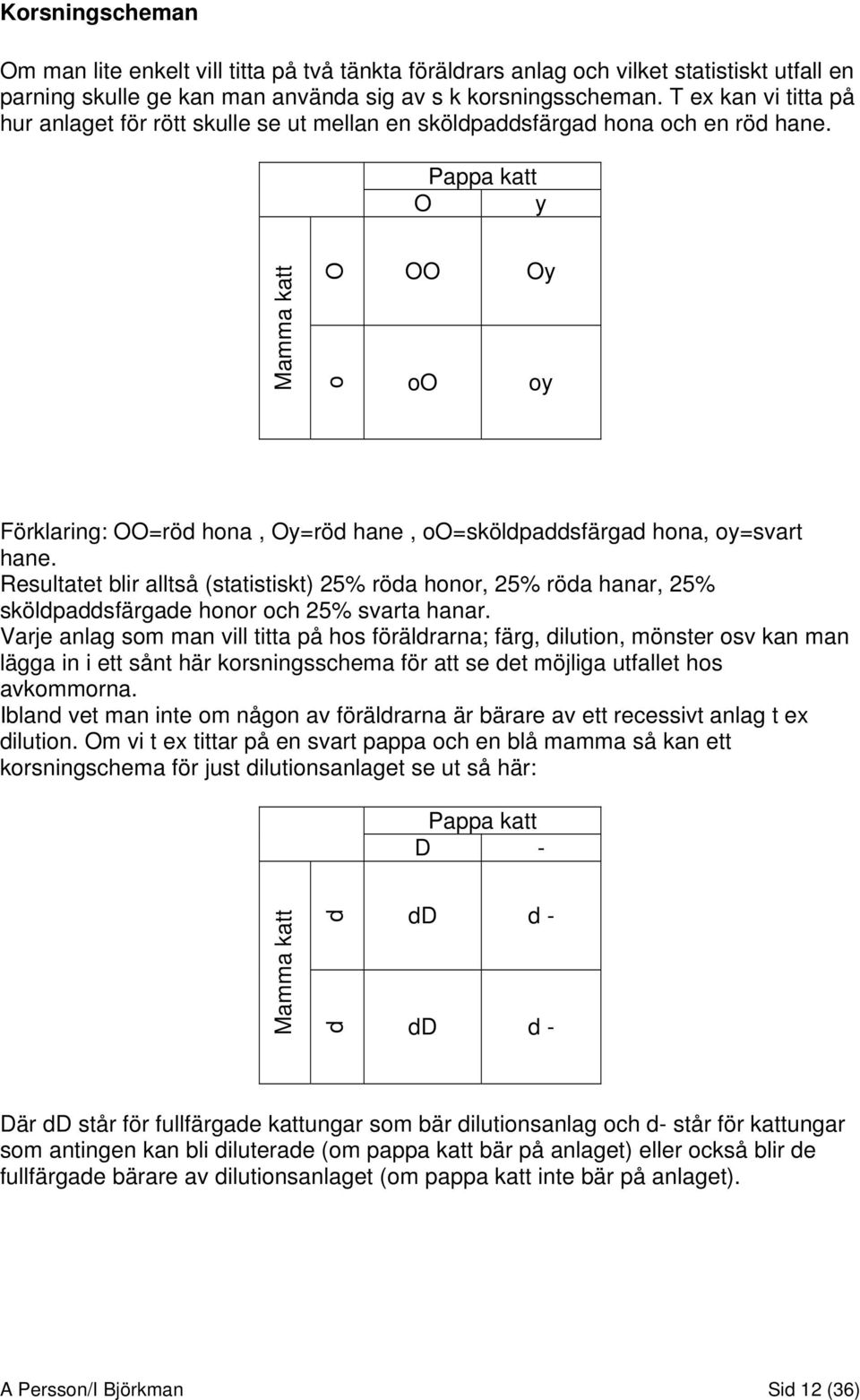 Pappa katt O y Mamma katt O o OO oo Oy oy Förklaring: OO=röd hona, Oy=röd hane, oo=sköldpaddsfärgad hona, oy=svart hane.