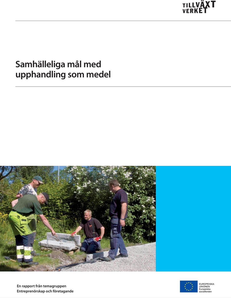 rapport från temagruppen