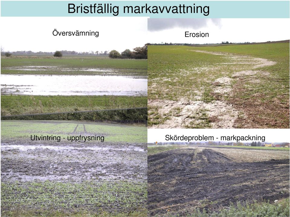 Översvämning Erosion