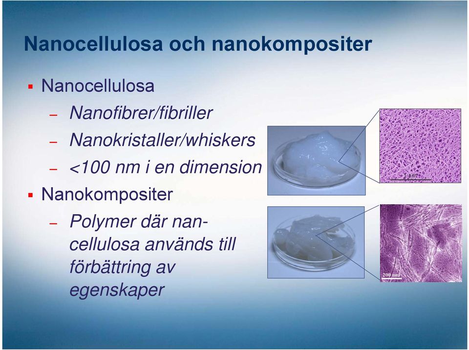 <100 nm i en dimension Nanokompositer Polymer