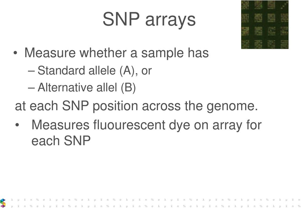 (B) at each SNP position across the genome.