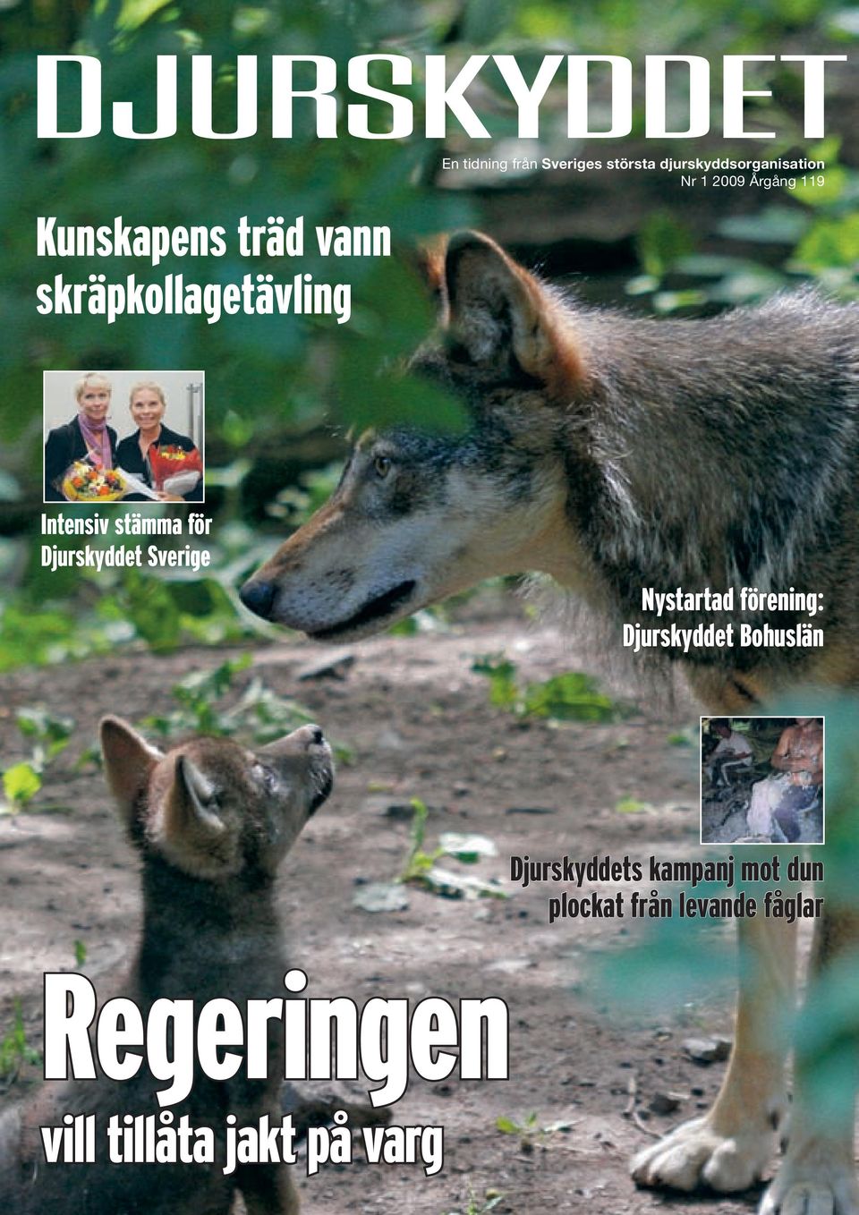 Djurskyddet Sverige Nystartad förening: Djurskyddet Bohuslän Djurskyddets