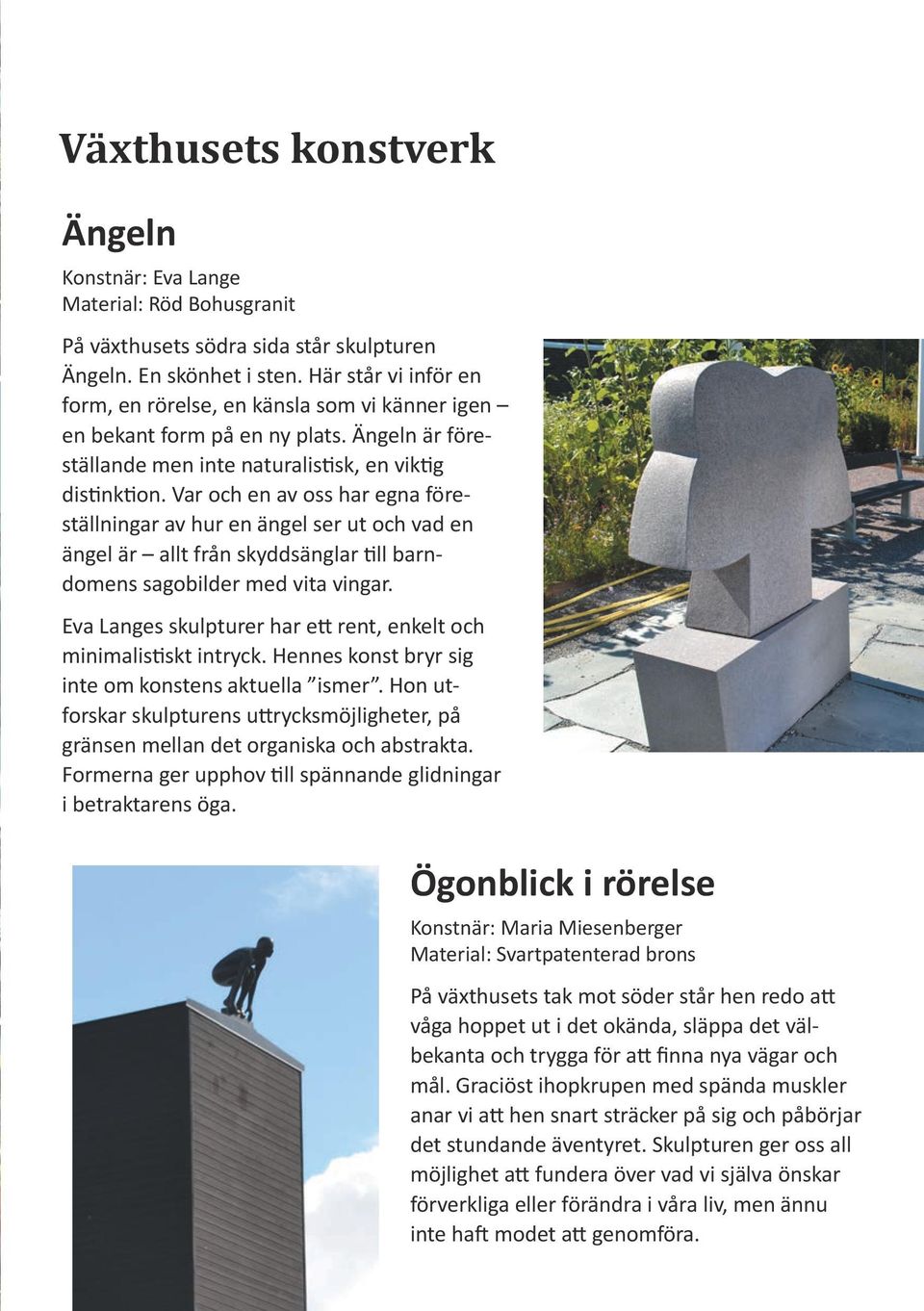 Var och en av oss har egna föreställningar av hur en ängel ser ut och vad en ängel är allt från skyddsänglar till barndomens sagobilder med vita vingar.