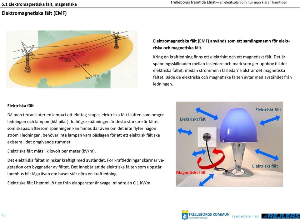 Det är spänningsskillnaden mellan fasledare och mark som ger upphov till det elektriska fältet, medan strömmen i fasledarna alstrar det magnetiska fältet.