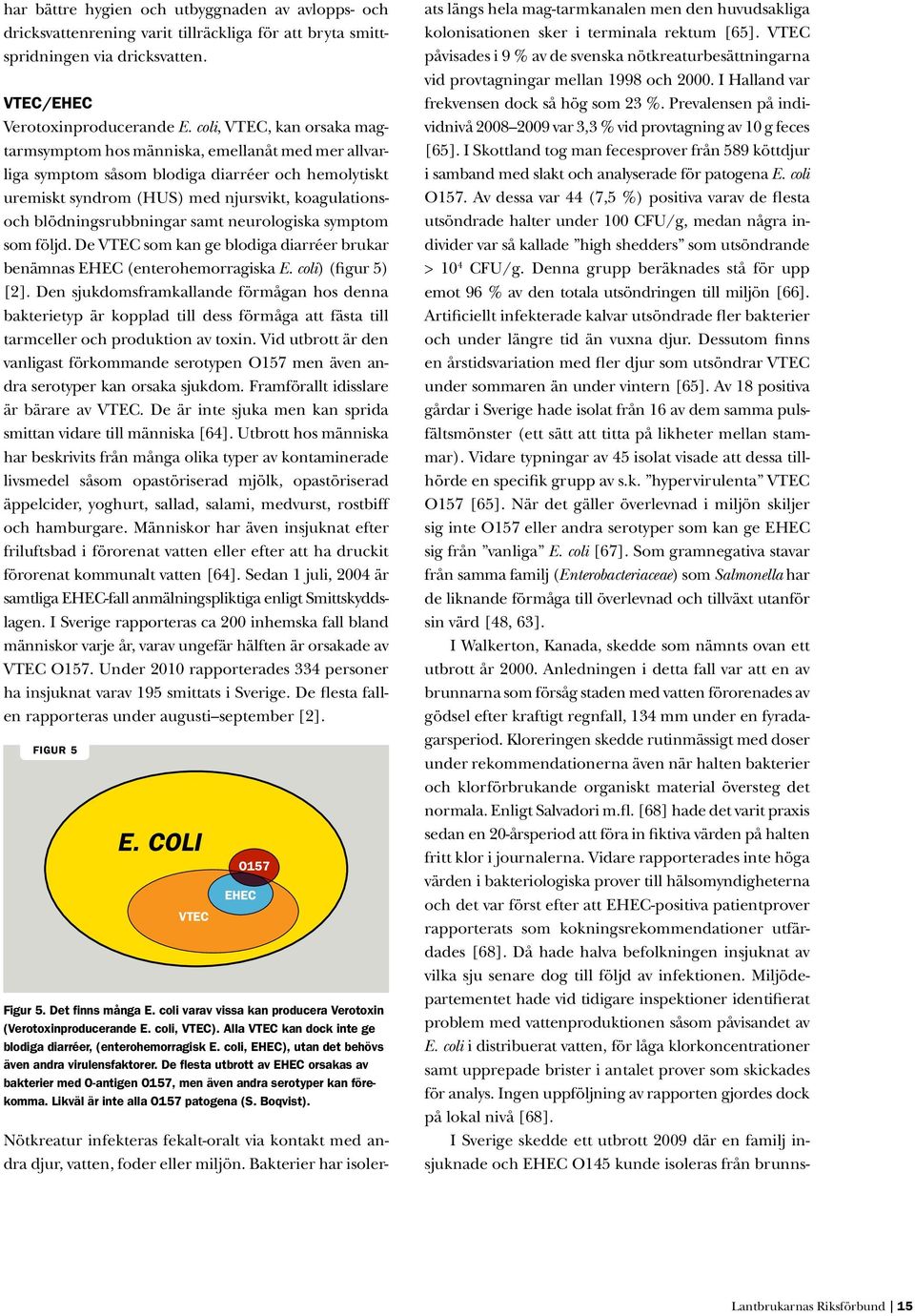 blödningsrubbningar samt neurologiska symptom som följd. De VTEC som kan ge blodiga diarréer brukar benämnas EHEC (enterohemorragiska E. coli) (figur 5) [2].