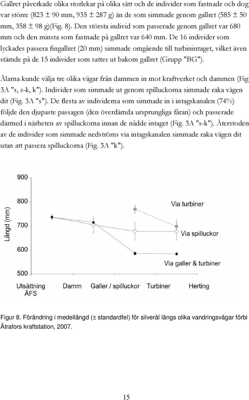 De 16 individer som lyckades passera fingallret (20 mm) simmade omgående till turbinintaget, vilket även stämde på de 15 individer som sattes ut bakom gallret (Grupp "BG").