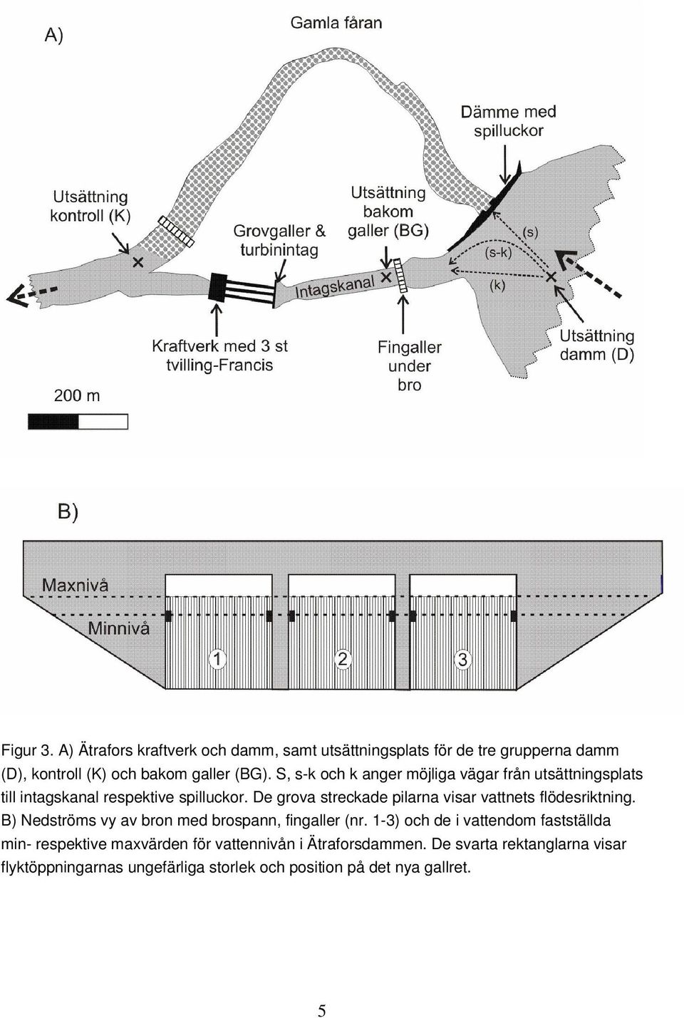 De grova streckade pilarna visar vattnets flödesriktning. B) Nedströms vy av bron med brospann, fingaller (nr.