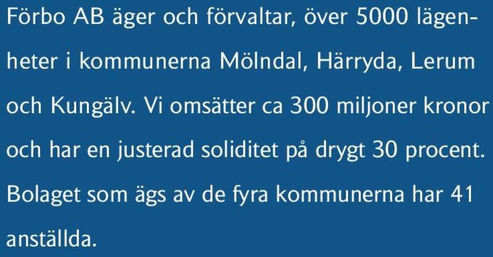 Vi omsätter ca 300 miljoner kronor och har en justerad