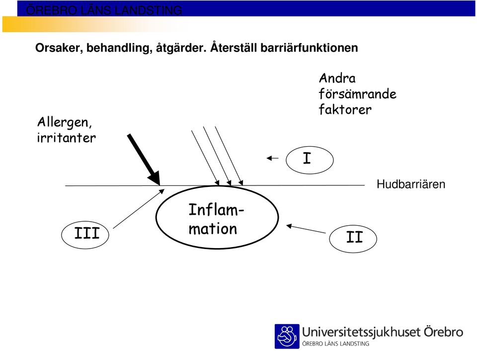 Allergen, irritanter I Andra