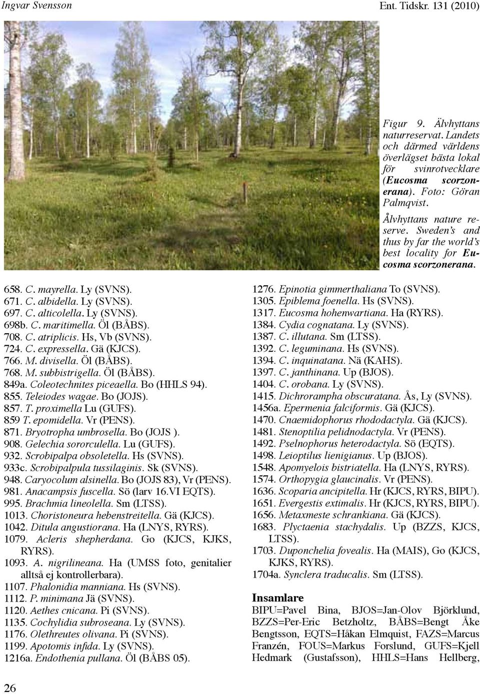 C. maritimella. Öl (BÅBS). 708. C. atriplicis. Hs, Vb (SVNS). 724. C. expressella. Gä (KJCS). 766. M. divisella. Öl (BÅBS). 768. M. subbistrigella. Öl (BÅBS). 849a. Coleotechnites piceaella.