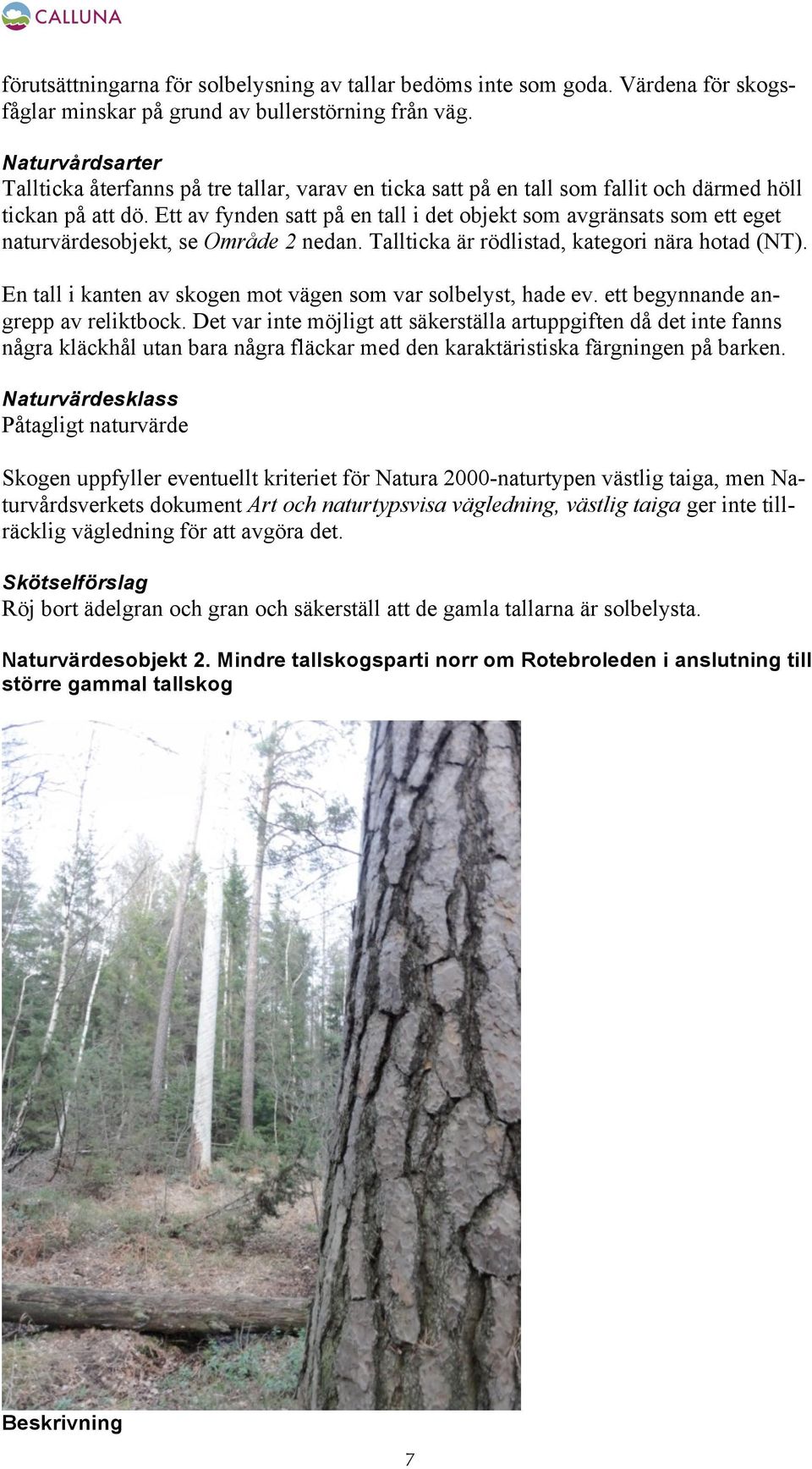 Ett av fynden satt på en tall i det objekt som avgränsats som ett eget naturvärdesobjekt, se Område 2 nedan. Tallticka är rödlistad, kategori nära hotad (NT).