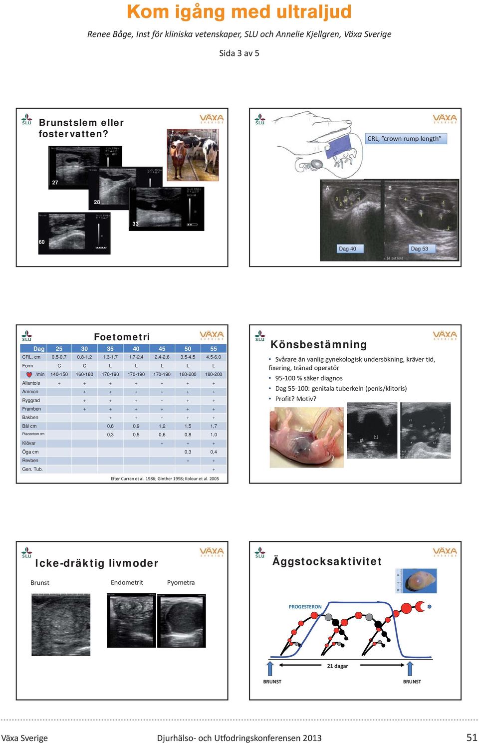 + Bakben + + + + + Bål cm 0,6 0,9 1,2 1,5 1,7 Placentom cm 0,3 0,5 0,6 0,8 1,0 Könsbestämning Svårare än vanlig gynekologisk undersökning, kräver tid, fixering, tränad operatör 95 100 % säker diagnos