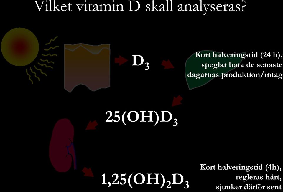 senaste dagarnas produktion/intag 25(OH)D 3