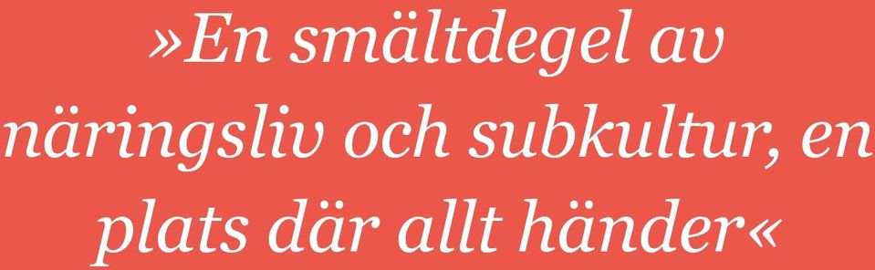 subkultur, en