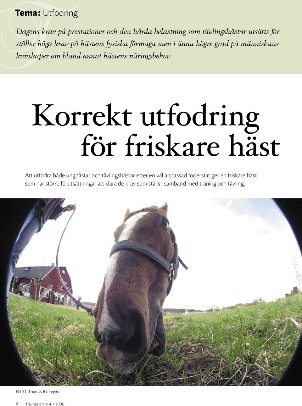 Korrekt utfodring för friskare häst Att utfodra både unghästar och tävlingshästar efter en väl anpassad foderstat ger en