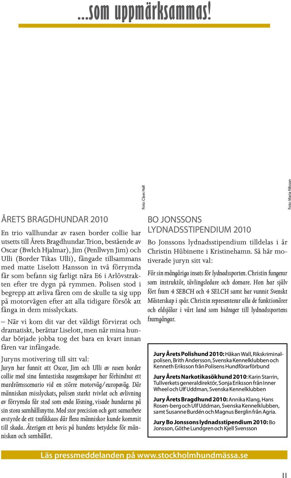 Arlövstrakten efter tre dygn på rymmen. Polisen stod i begrepp att avliva fåren om de skulle ta sig upp på motorvägen efter att alla tidigare försök att fånga in dem misslyckats.