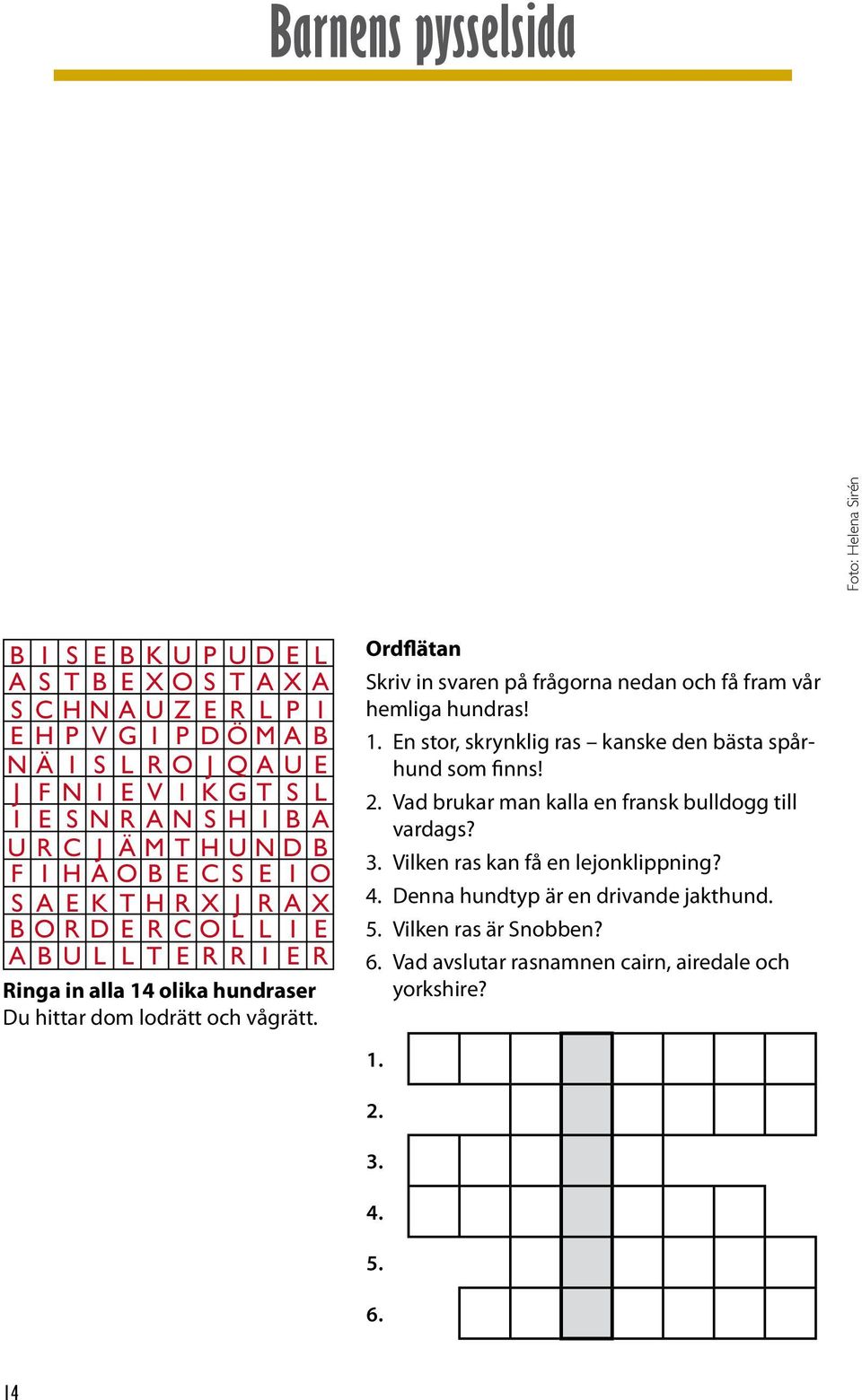 vågrätt. Ordflätan Skriv in svaren på frågorna nedan och få fram vår hemliga hundras! 1. En stor, skrynklig ras kanske den bästa spårhund som finns! 2.