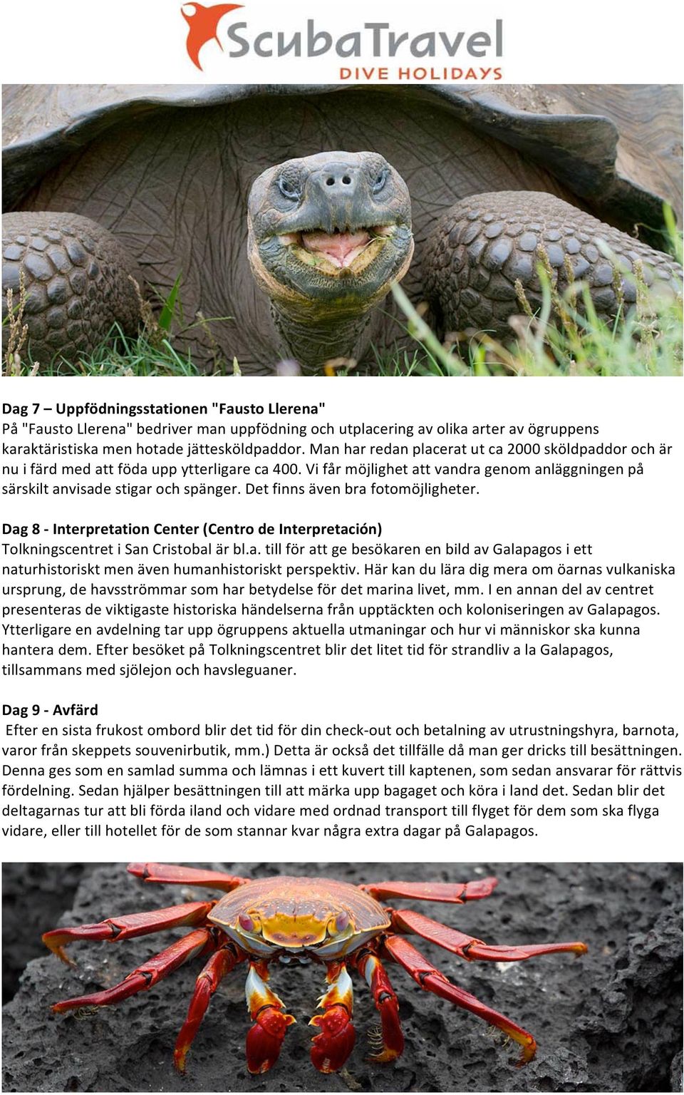 Det finns även bra fotomöjligheter. Dag 8 - Interpretation Center (Centro de Interpretación) Tolkningscentret i San Cristobal är bl.a. till för att ge besökaren en bild av Galapagos i ett naturhistoriskt men även humanhistoriskt perspektiv.