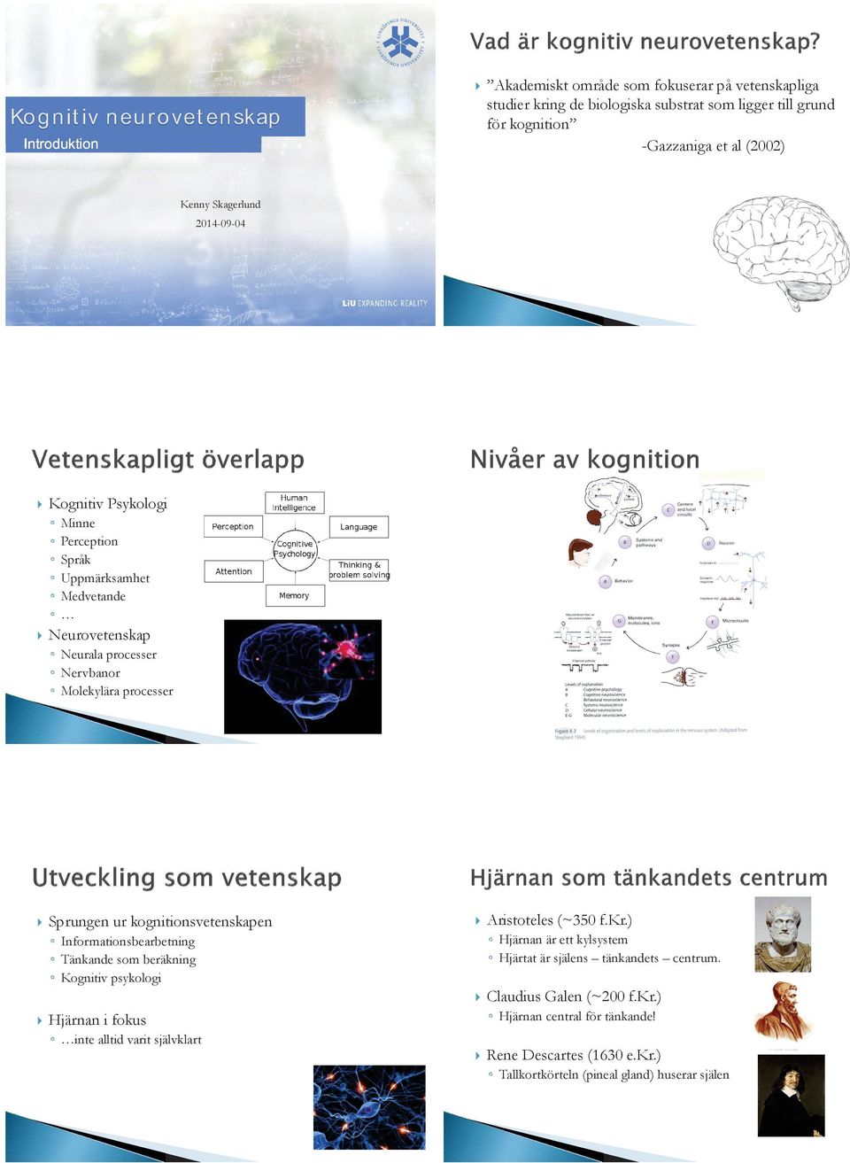 Sprungen ur kognitionsvetenskapen Informationsbearbetning Tänkande som beräkning Kognitiv psykologi Hjärnan i fokus Hjärnan är ett kylsystem Hjärtat är själens