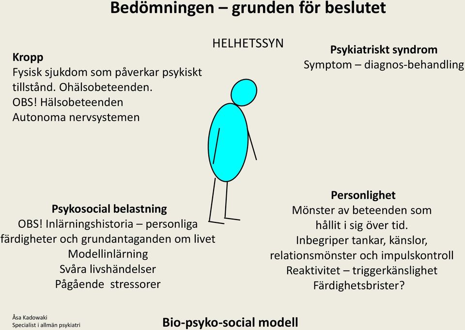 Inlärningshistoria personliga färdigheter och grundantaganden om livet Modellinlärning Svåra livshändelser Pågående stressorer Personlighet Mönster