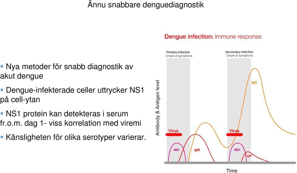 NS1 på cell-ytan NS1 protein kan detekteras i serum 