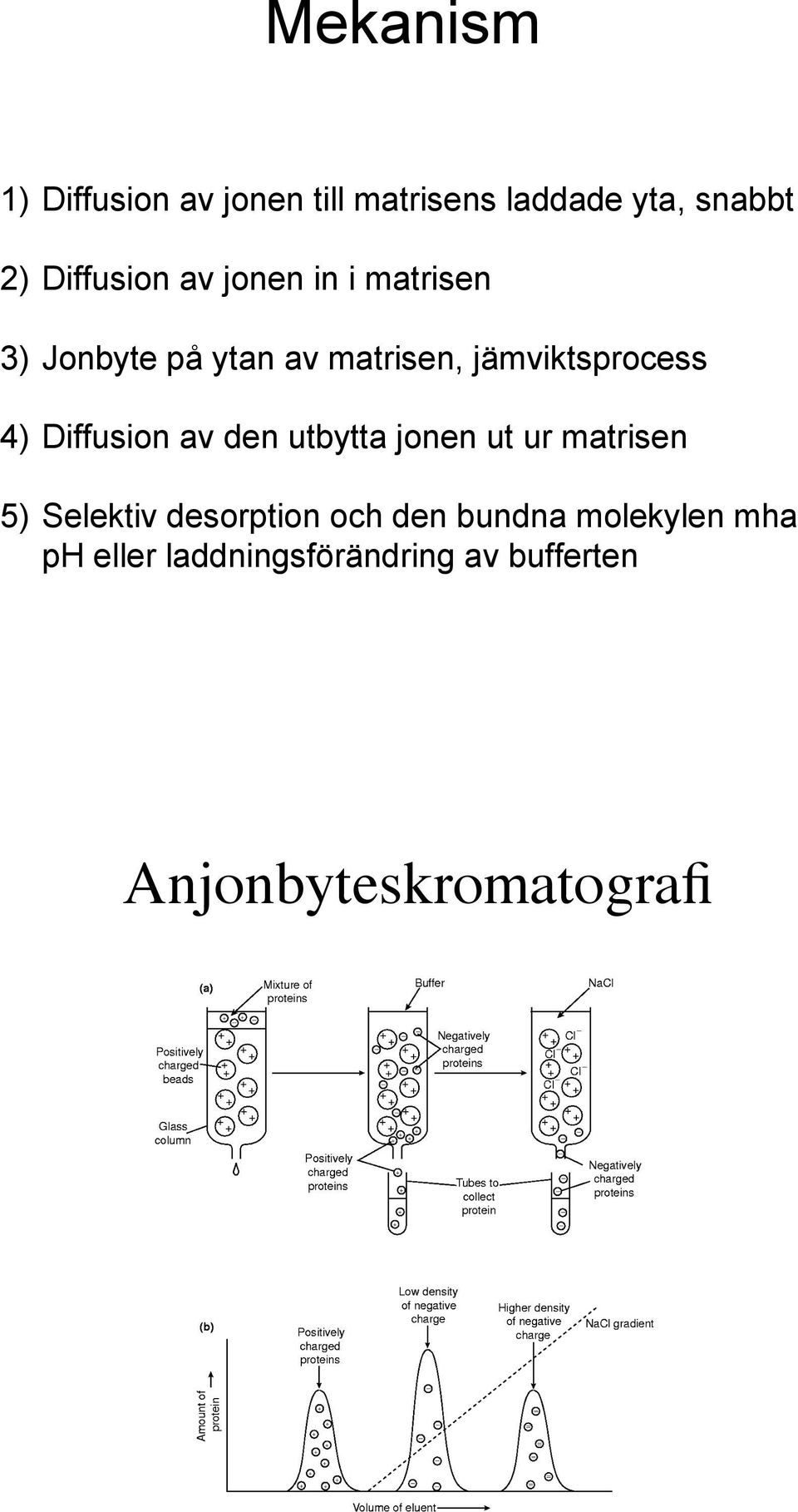 Diffusion av den utbytta jonen ut ur matrisen 5) Selektiv desorption och den