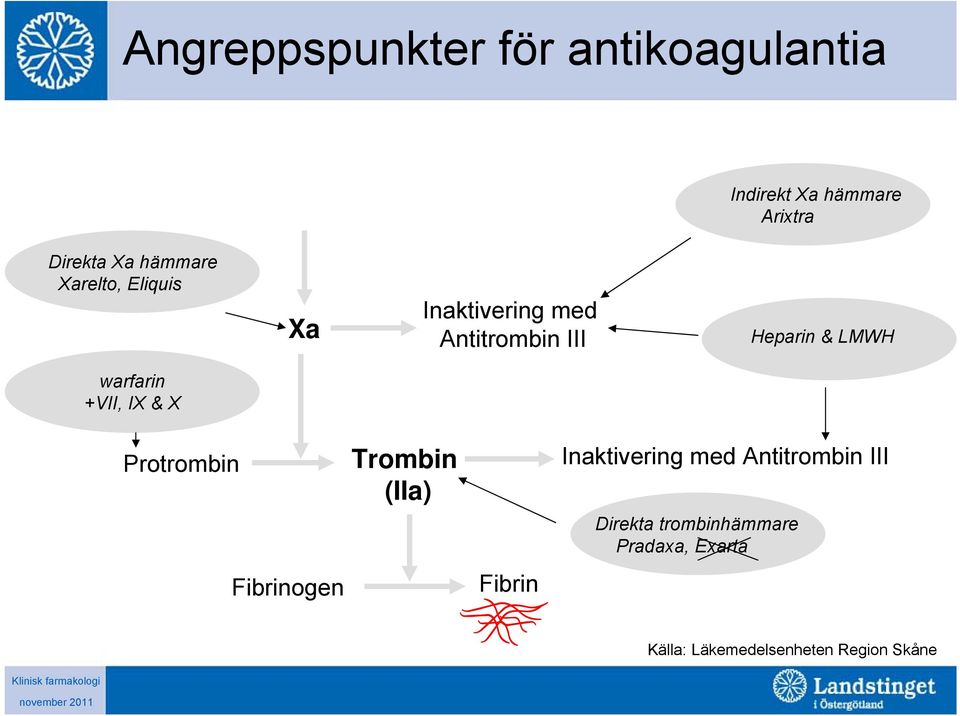 warfarin +VII, IX & X Protrombin Trombin (IIa) Inaktivering med Antitrombin III