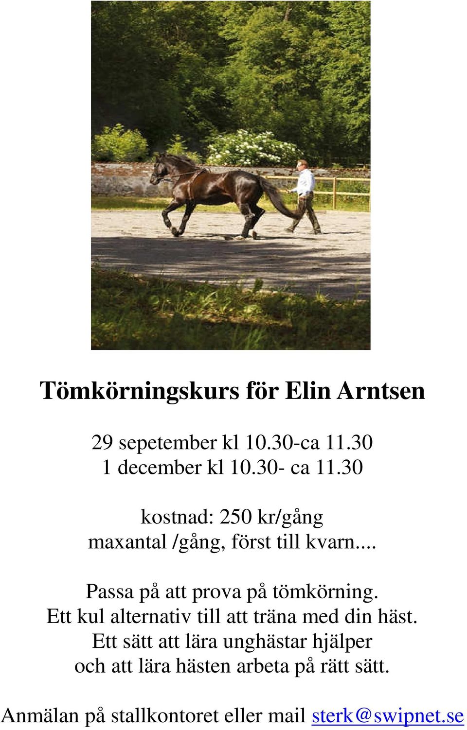 .. Passa på att prova på tömkörning. Ett kul alternativ till att träna med din häst.