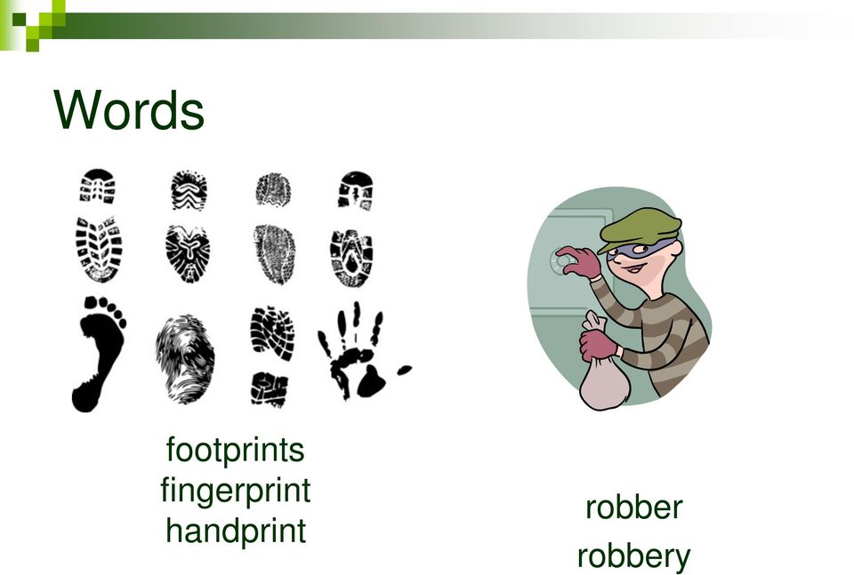 fingerprint