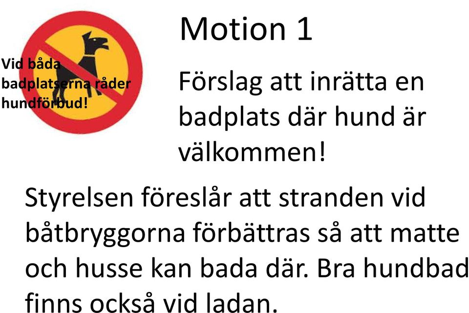 Styrelsen föreslår att stranden vid båtbryggorna